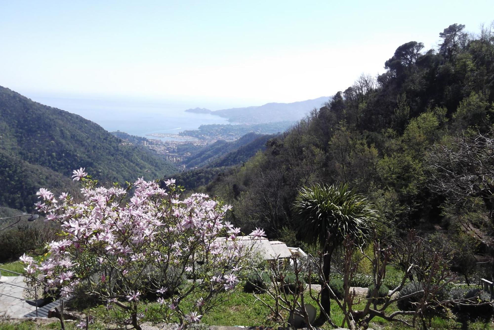Vista Portofino Lägenhet Rapallo Exteriör bild