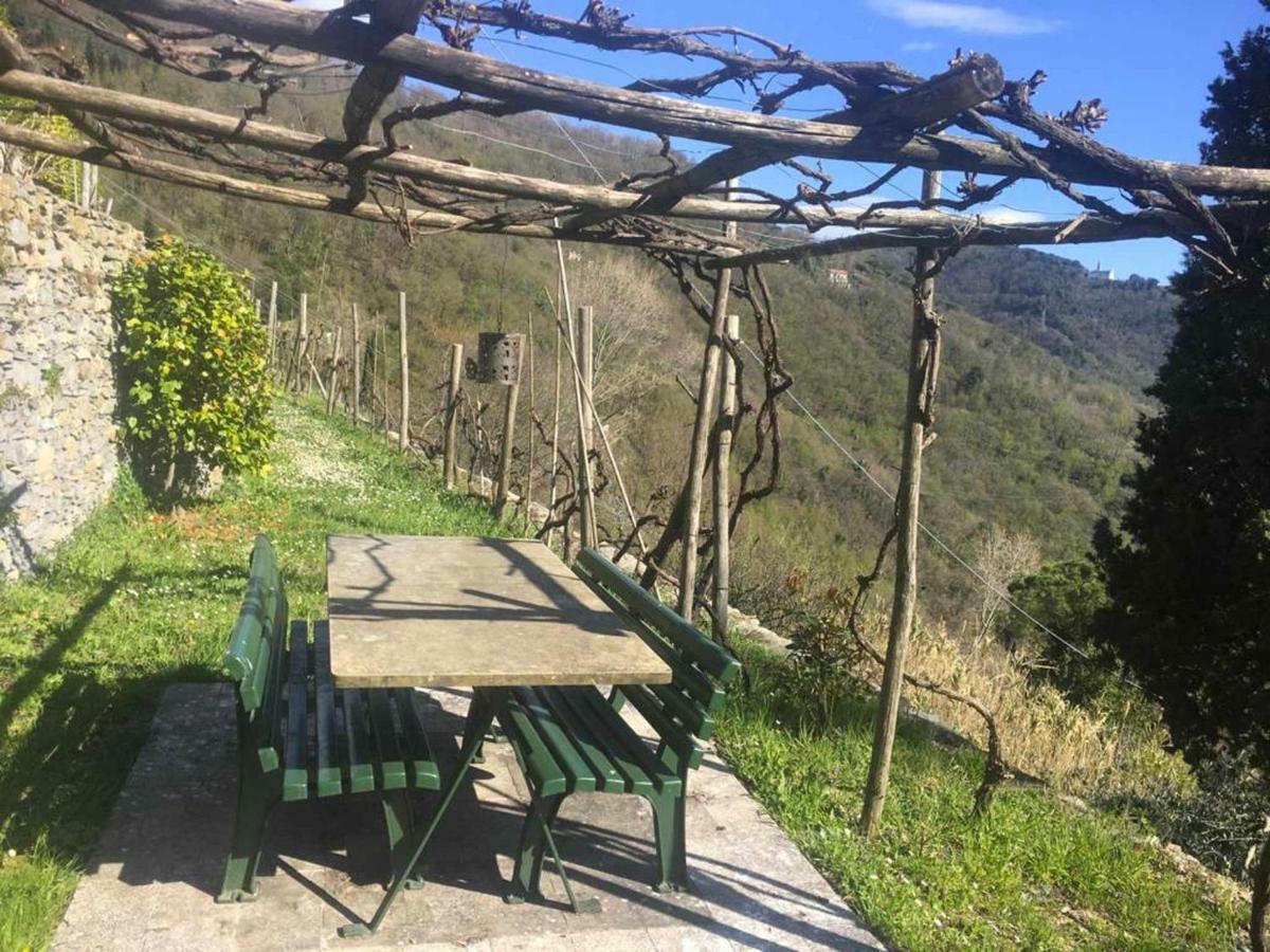 Vista Portofino Lägenhet Rapallo Exteriör bild
